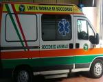 Coronavirus: servizio ambulanza veterinaria